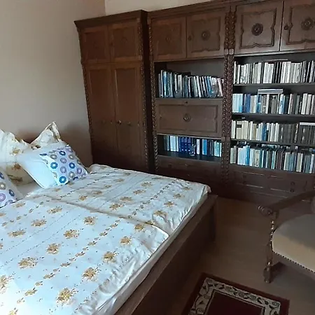 Апартаменты Fani Nyaralo Koezel A Vizparthoz